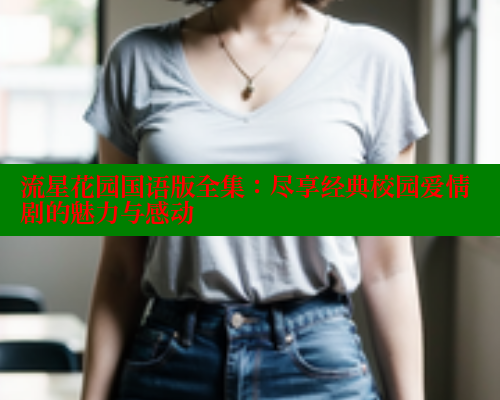 流星花园国语版全集：尽享经典校园爱情剧的魅力与感动