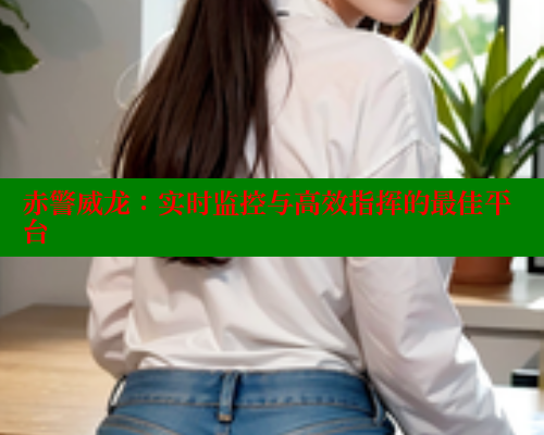 赤警威龙：实时监控与高效指挥的最佳平台