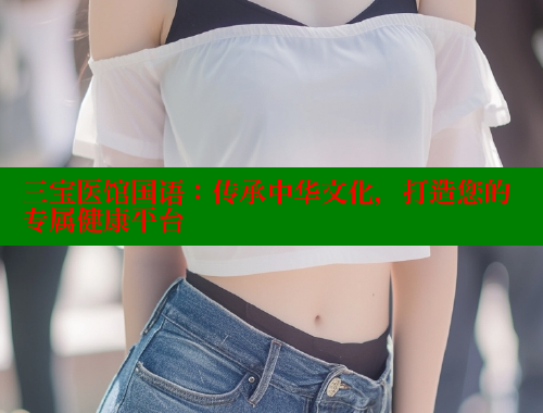 三宝医馆国语：传承中华文化，打造您的专属健康平台