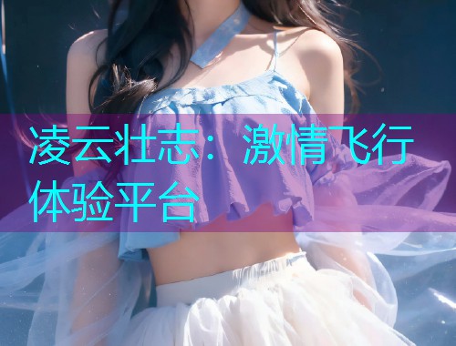 凌云壮志：激情飞行体验平台