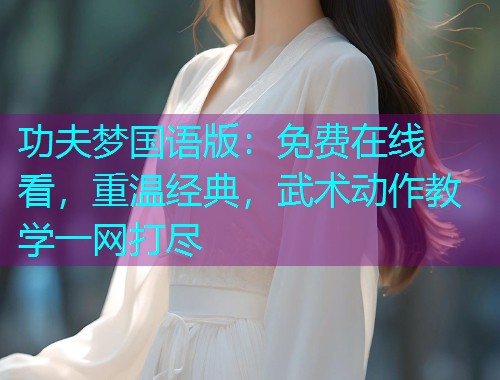 功夫梦国语版：免费在线看，重温经典，武术动作教学一网打尽